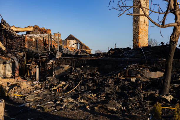 Reliable Fire Damage Repair contractor in Cave Creek, AZ by Fire Damage Doption